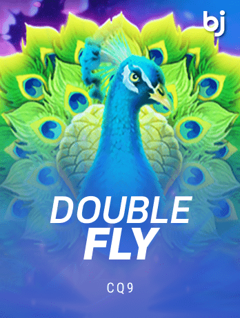 ডাবল ফ্লাই game icon